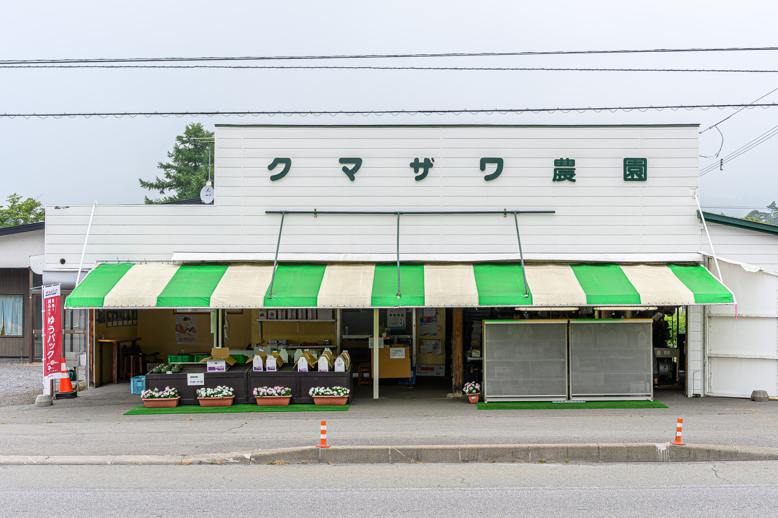 メロン街道 クマザワ農園