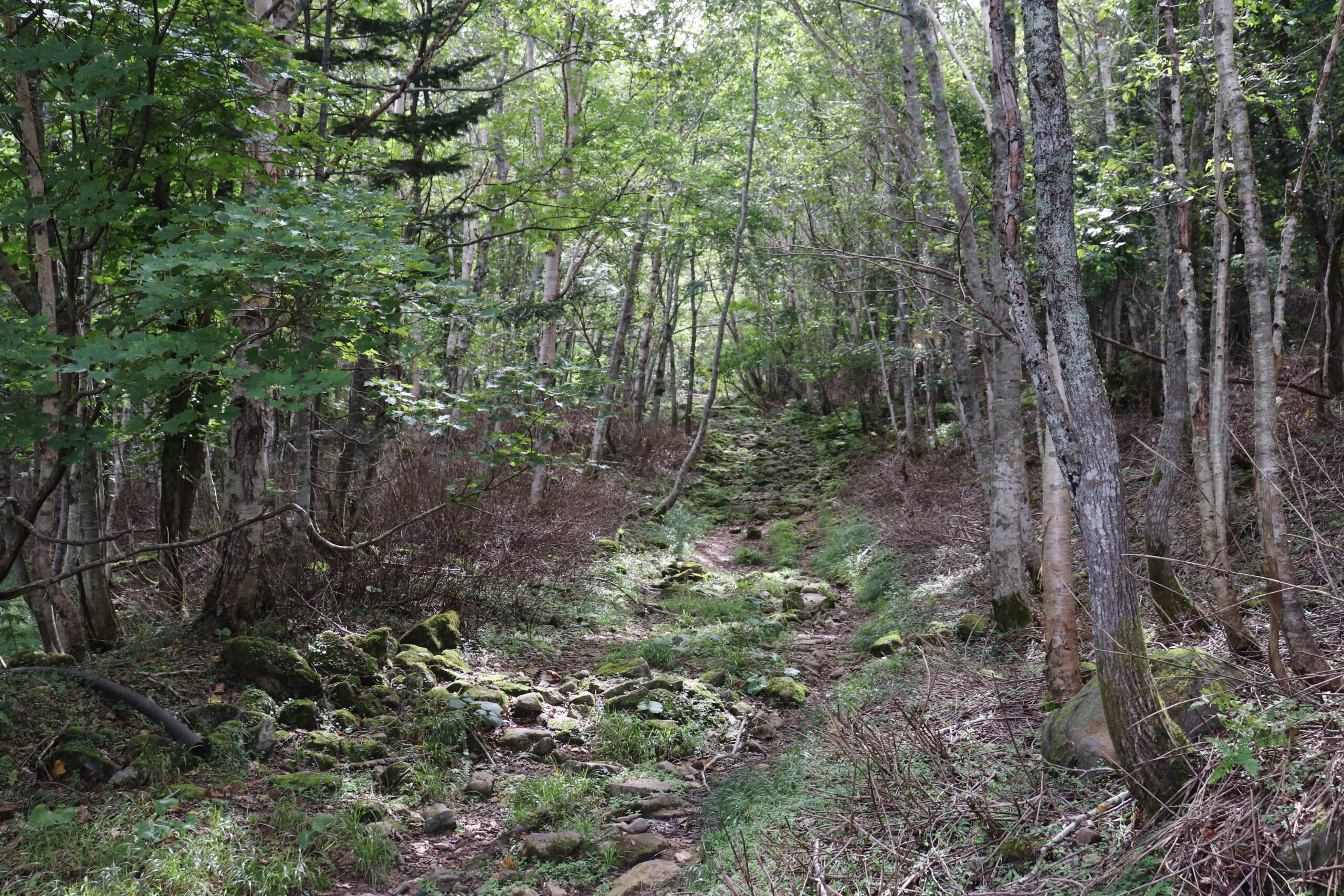 徳舜瞥山