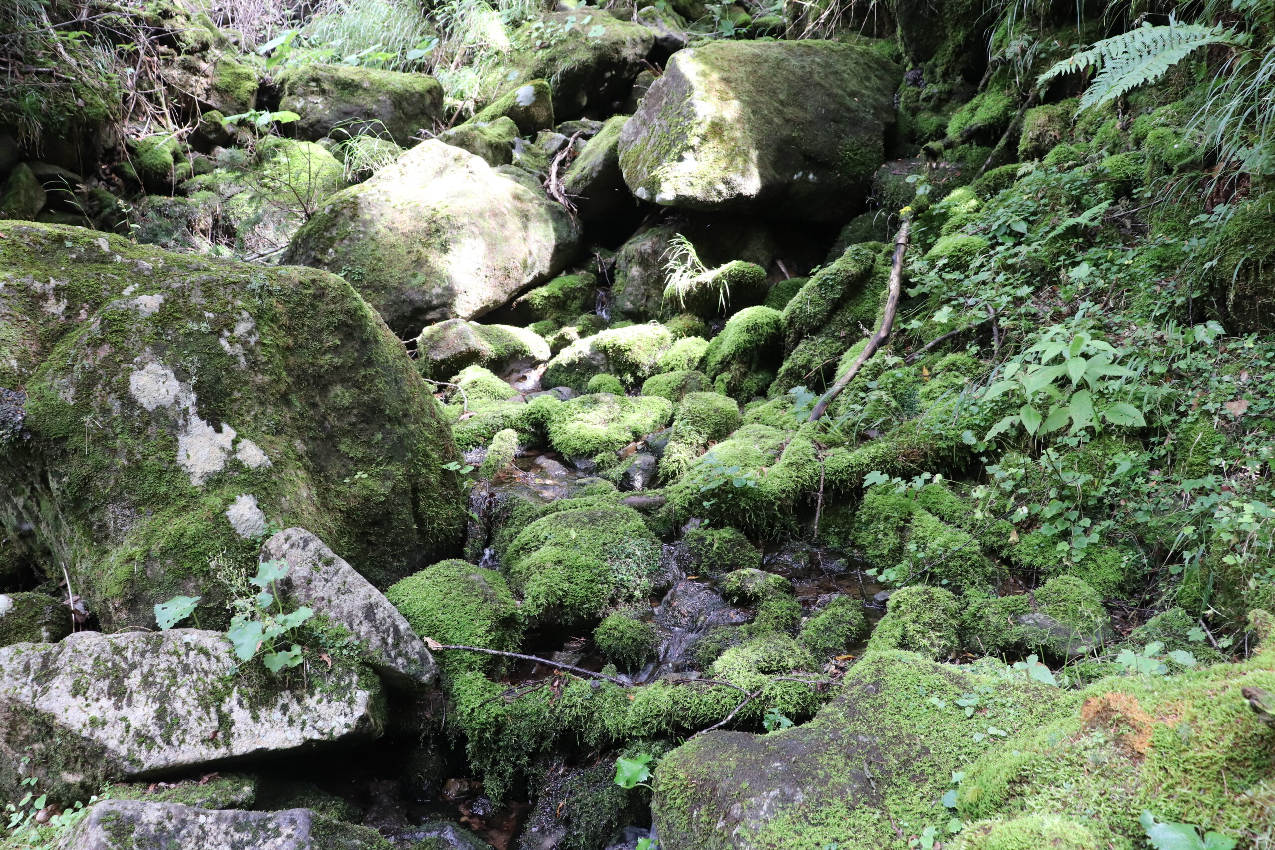 徳舜瞥山