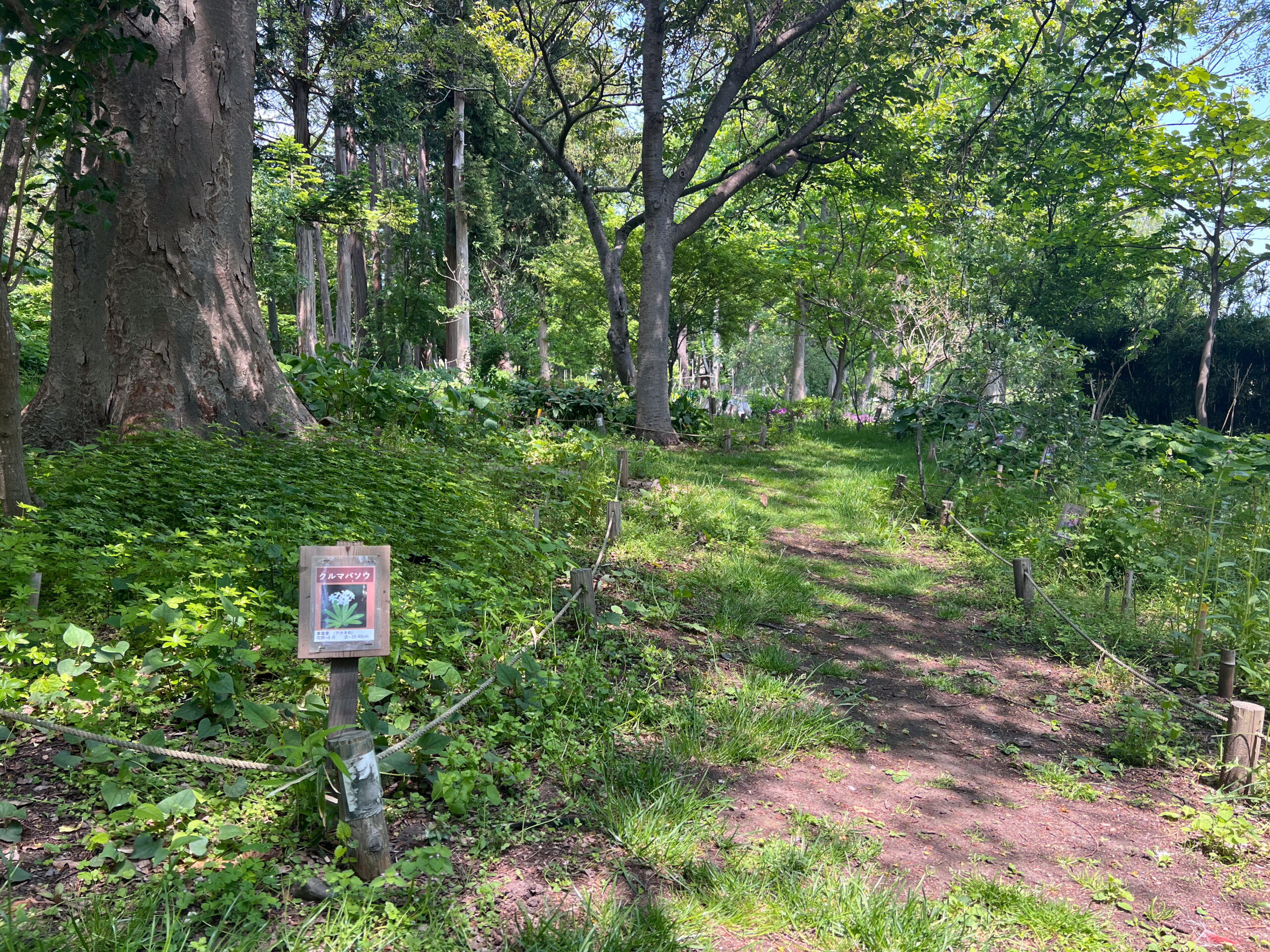 旧伊達邸庭園 植物園