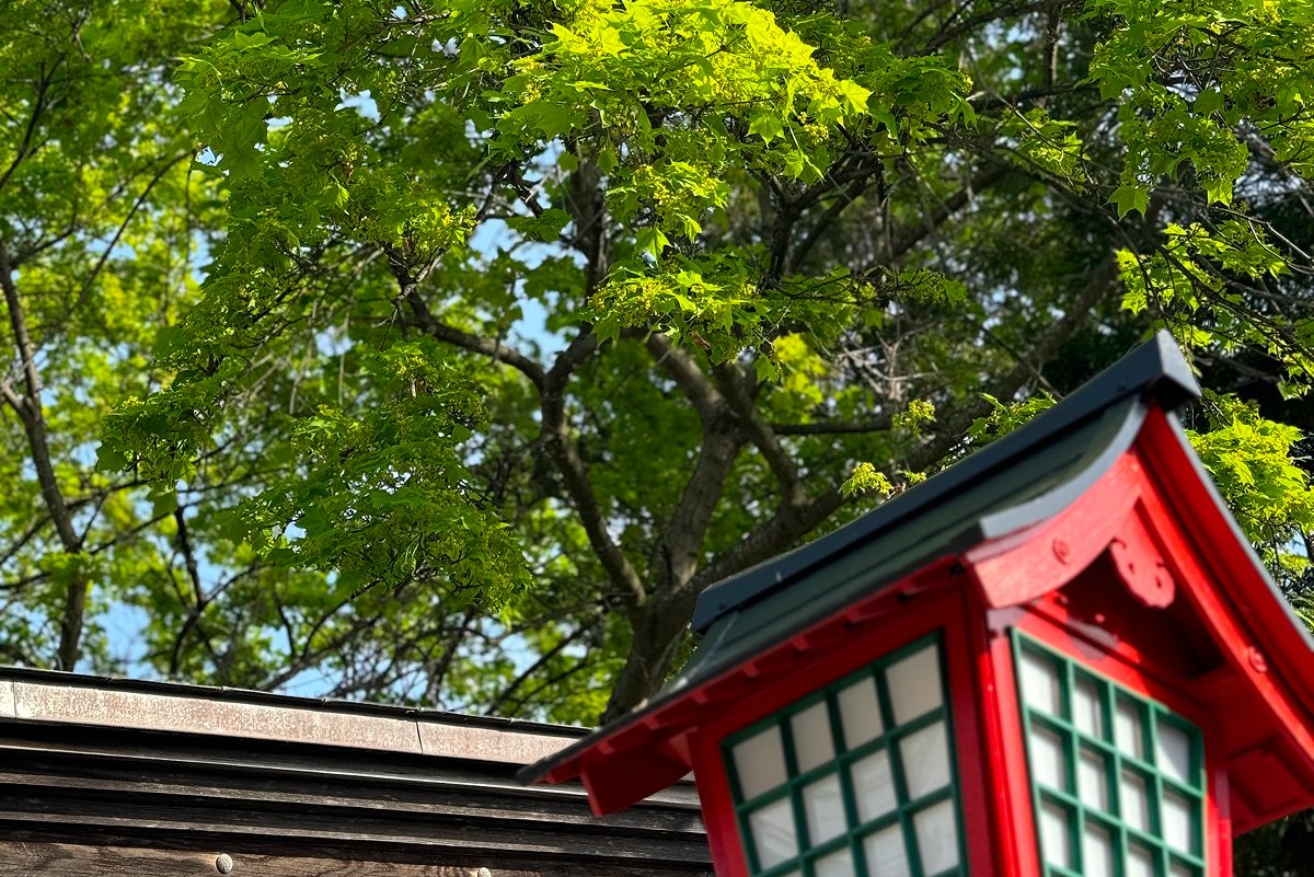 伊達神社