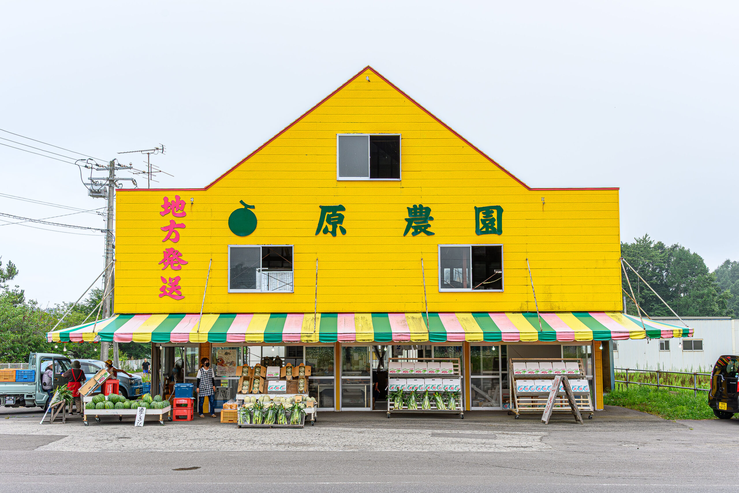 メロン街道 原農園