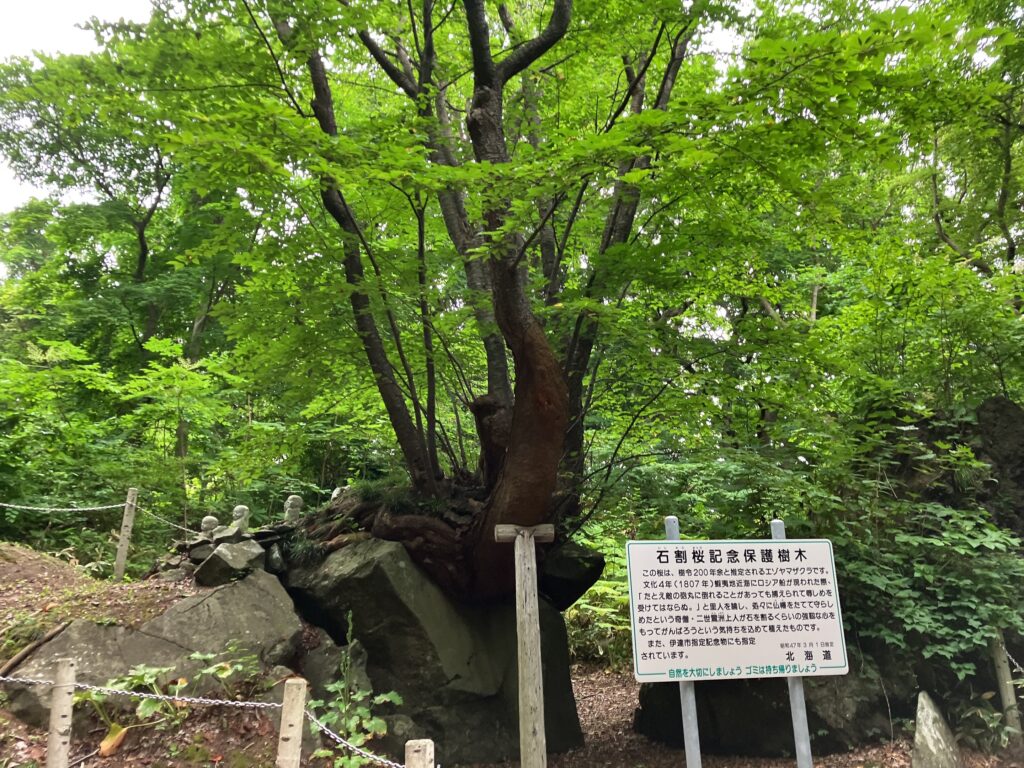有珠善光寺自然公園