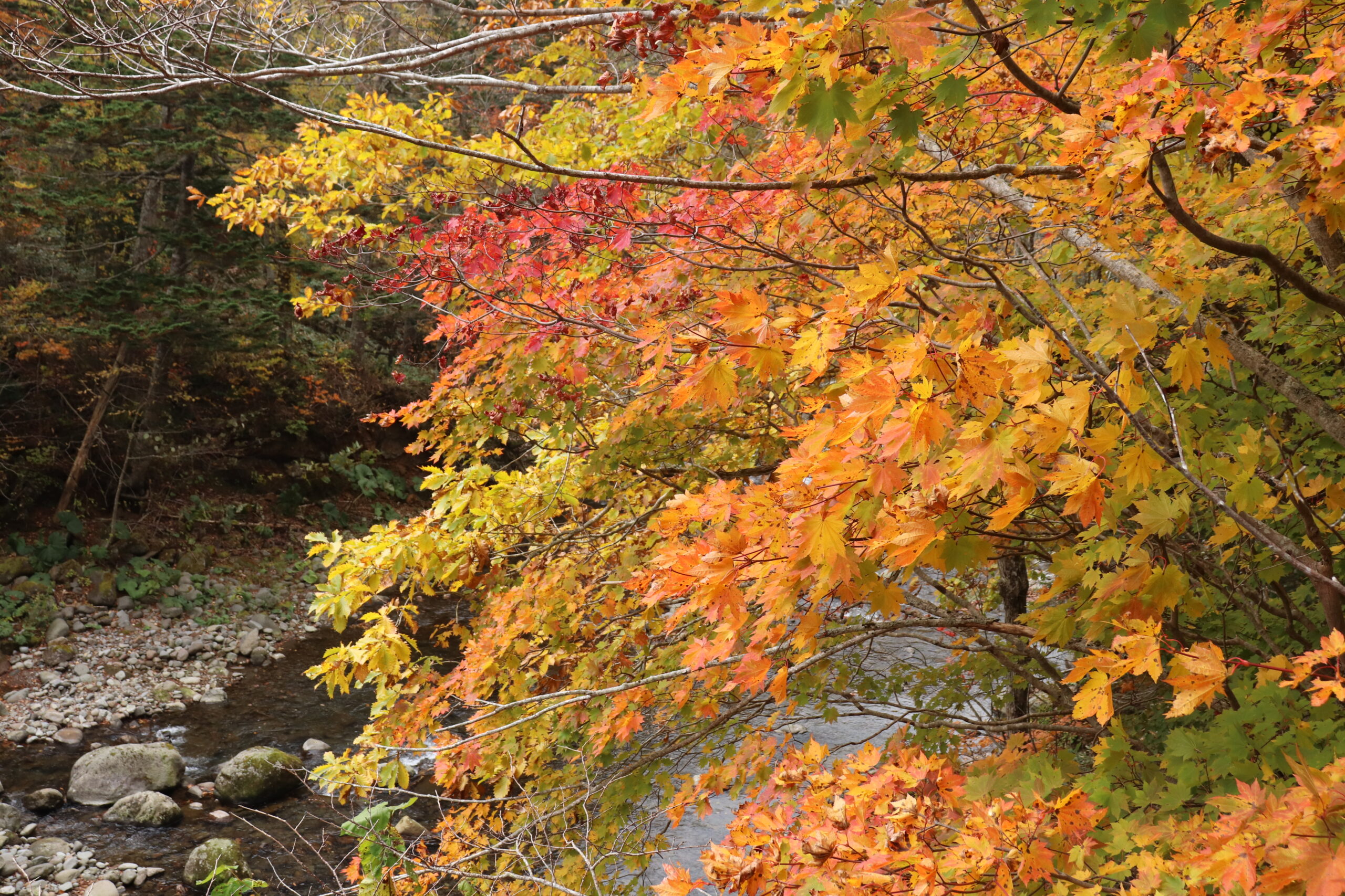 三階滝・三階滝公園