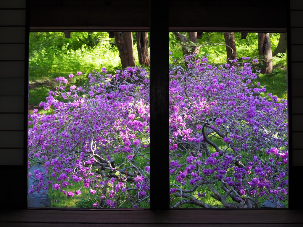 有珠善光寺