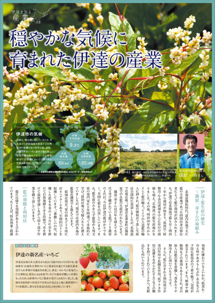 体験学習