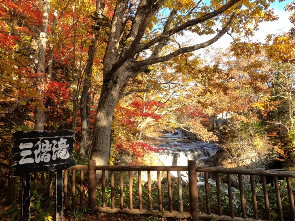 紅葉２