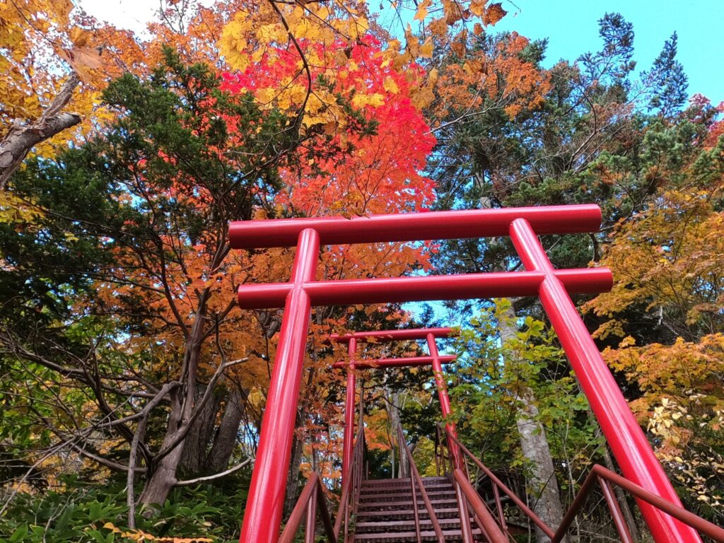 紅葉４